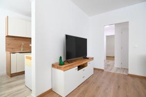 a living room with a tv on a white wall at Sowa Rigpa apartmán in Gerlachov