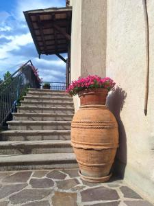 a large vase with flowers sitting next to a staircase at La Giara in Spoleto