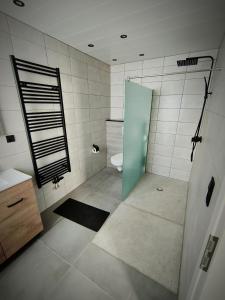a bathroom with a shower and a toilet in it at Villa Serenita in Montenau