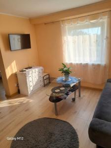 a living room with a couch and a table at Kamienica Partyzantów in Pasłęk +8 photos