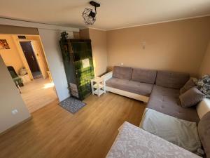 a living room with a couch and a table at Kamienica Partyzantów in Pasłęk