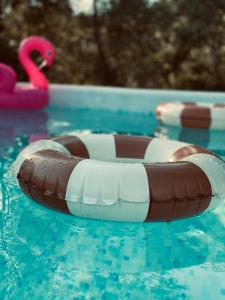 an inflatable raft in a swimming pool at Domki Zielony Raj Rabka- Zdrój Jacuzii na wyłączność Sauna in Rabka-Zdrój