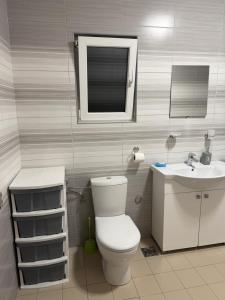 a bathroom with a toilet and a sink and a mirror at Apartman M&S in Golubovci +13 photos