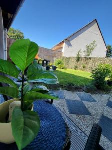 a plant in a pot sitting on a patio at Studio in Fürstenfeld