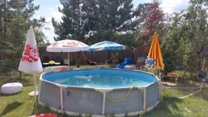 a hot tub in a yard with umbrellas at Paradisul de la țara in Moara Vlăsiei