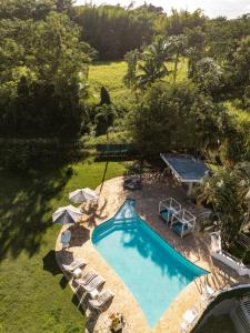 an overhead view of a swimming pool with chairs and umbrellas at Jardin al Bosque-Glamping in San Juan