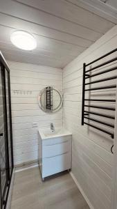 a bathroom with a sink and a mirror at Runa House in Verkhovyna
