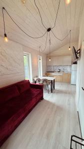 a living room with a red couch and a table at Runa House in Verkhovyna
