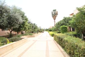 Fotografie z fotogalerie ubytování Jericho Resort Village v destinaci Jericho