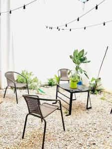 a group of chairs and a table with a plant at Lu House in Flores