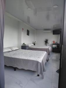 two beds in a room with white walls at Villa Terraza in El Castillo de La Fortuna