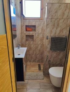 a bathroom with a shower and a sink and a toilet at 1-bedroom apartment in Monastir