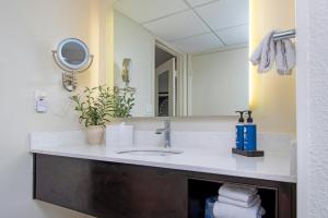 a bathroom with a sink and a mirror at Peacock Suites in Anaheim