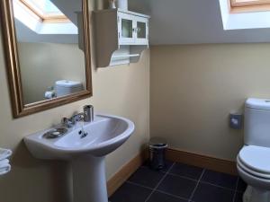 a bathroom with a sink and a toilet and a mirror at Red Gate House B&B in Malin +10 photos