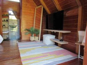 a living room with a television and a rug at Edén del Aliso in Santa Barbara