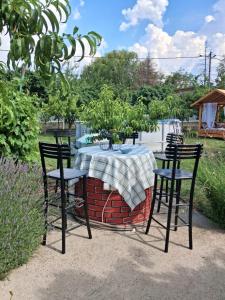 a table with chairs and a table with a plant on it at Kod kapetana in Smederevo