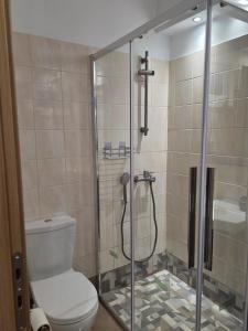 a bathroom with a toilet and a glass shower at Luna del Mare in Ligia +21 photos
