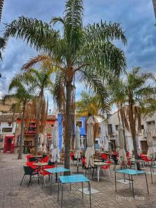 a group of tables and chairs under a palm tree at Casa Trinidad in Denia