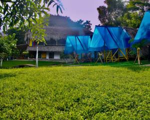 a house with a thatched roof and blue umbrellas at Glamping Tesoro Escondido in San Antero