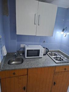 a kitchen counter with a microwave and a sink at Bariloche del Sur in San Carlos de Bariloche