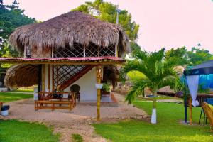 a hut with a straw roof and a palm tree at Glamping Tesoro Escondido in San Antero +31 photos