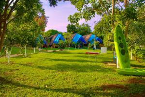 a green surfboard sitting on the grass in a park at Glamping Tesoro Escondido in San Antero