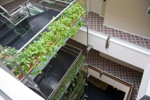 an overhead view of a staircase with plants at Hotel Federico II in Iesi