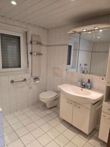 a bathroom with a sink and a toilet and a mirror at Green House in Haibach +6 photos