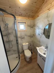a bathroom with a shower and a toilet and a sink at Baltic Holidays in Gąski +55 photos