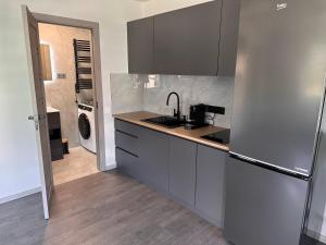 a kitchen with a sink and a refrigerator at Cozy Spark Studio Apartment in Kelmė