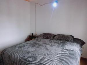 a bedroom with a bed with a light above it at Departamento Los Ñires in Yacimiento Río Turbio