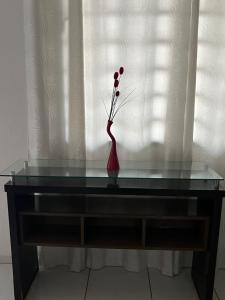 a vase on a glass table with a window at Casa no centro in Primavera do Leste +1 photo