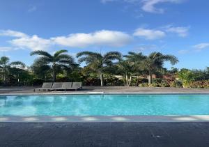 a swimming pool with two benches and palm trees at Onyx Villa in Ocho Rios