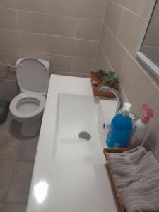 a bathroom with a toilet and a bath tub at הבית של רוית in Qasrîne