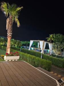 a park with a table and a palm tree at night at Vila Summer Depo in Sarandë +7 photos
