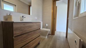 a bathroom with a sink and a toilet at Mirada Sacra in Parada del Sil +11 photos