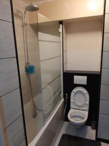 a small bathroom with a toilet and a shower at 10 mn Paris in Gennevilliers