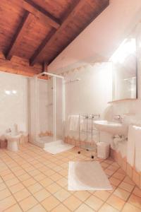 a bathroom with a shower and a toilet and a sink at Agriturismo Pituello in Talmassons