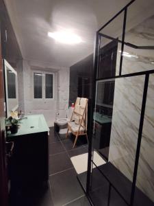 a bathroom with a shower and a sink and a toilet at Casa da Aldeia in Santa Cruz do Douro +54 photos