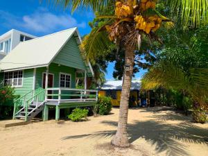 a green house with a palm tree in front of it at The Village Inn in Placencia +5 photos
