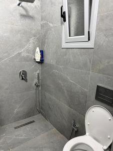 a bathroom with a toilet and a mirror at Nivro in Delvinë