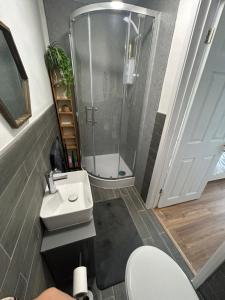 a bathroom with a shower and a sink and a toilet at Cosy in Windsor in Windsor