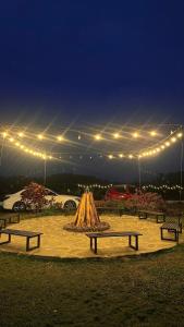 a group of benches in a park at night at Solmist Villa in Hòa Bình