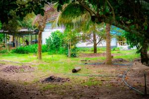 a yard with trees and a hose on the ground at Honey You HOSTEL in Ban Khlong Mat