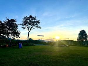 a tree in a field with the sunset in the background at Solmist Villa in Hòa Bình