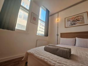ein Schlafzimmer mit einem Bett und zwei Fenstern in der Unterkunft The Nest Lite in Sheffield