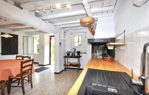 a kitchen and dining room with a table and a fireplace at Authentique Villa Piscine in Taulis