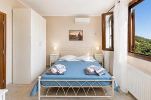 a bedroom with a bed with blue sheets and a window at Villa Elpida in Gaios +11 photos