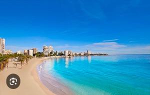 a view of a beach with a city in the background at Villa Flores in Alicante