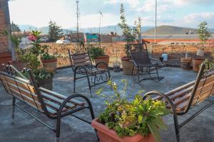 a group of chairs and potted plants on a patio at SiempreViva Hospedaje By GEstores in Chignahuapan